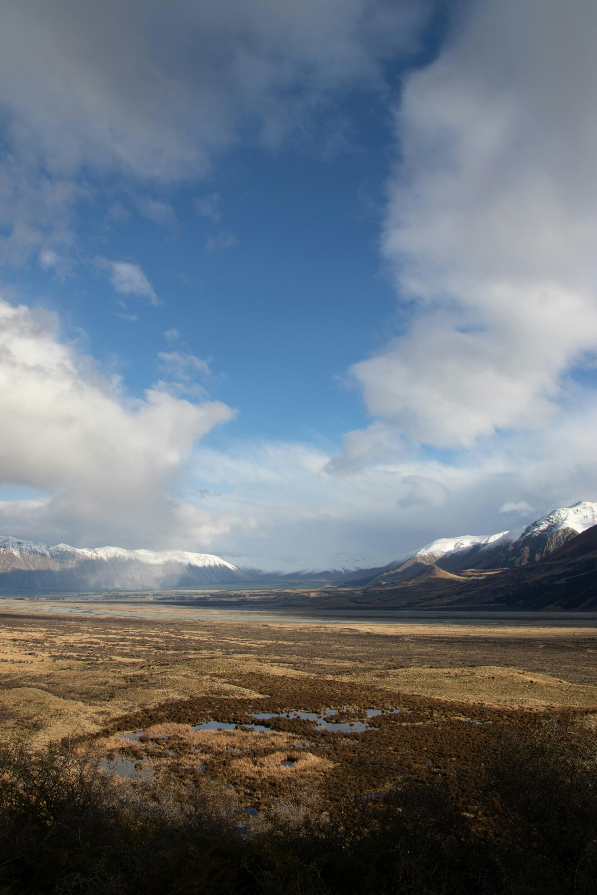 photo-of-grassland-under-blue-sky