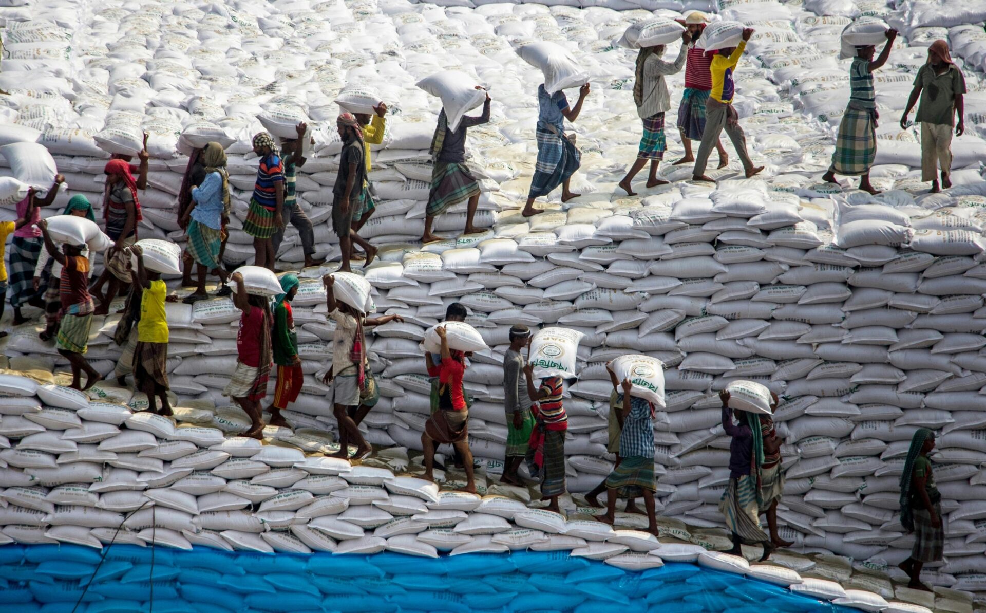 people-with-bags-on-stairs