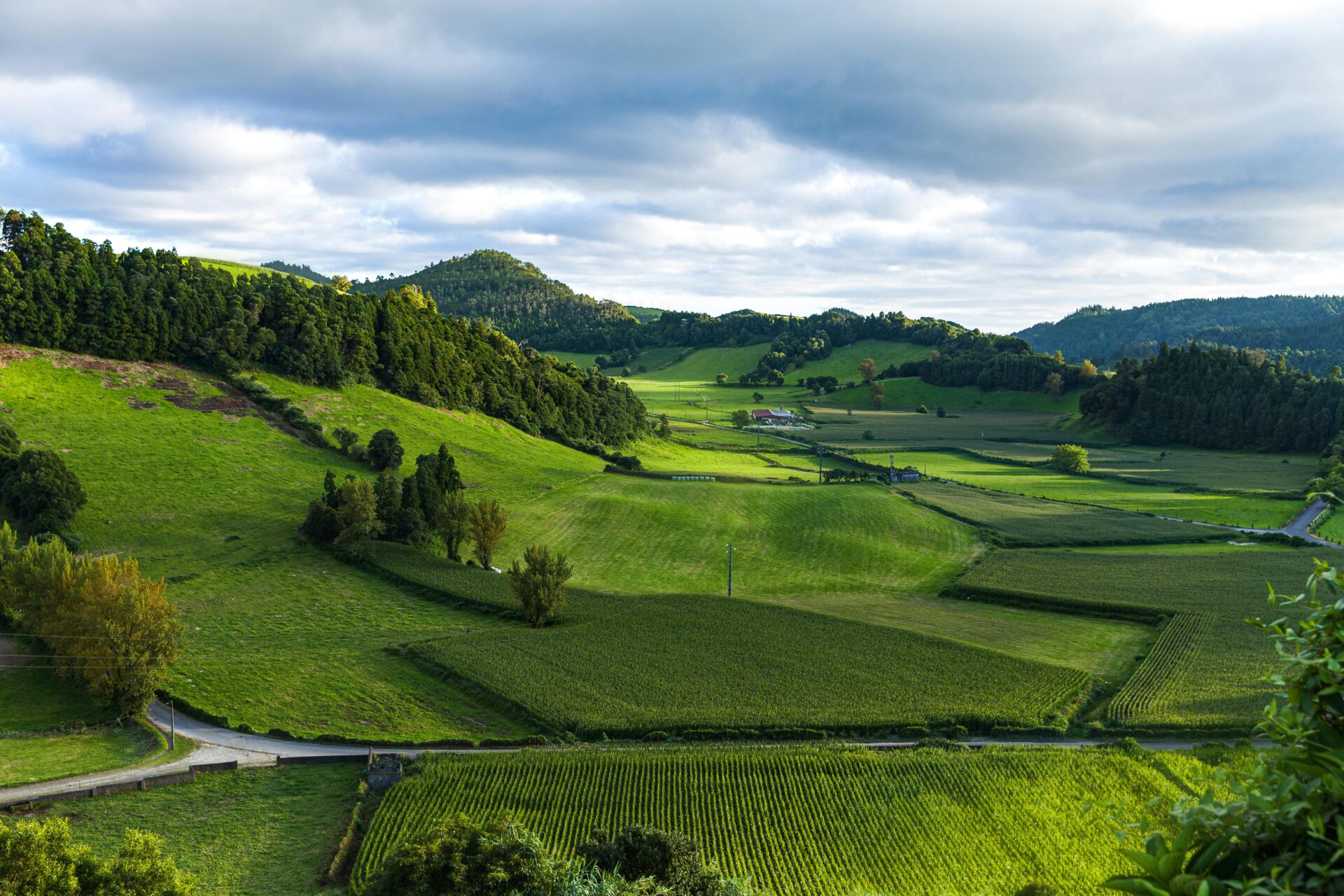 landscape-photography-of-green-grass-field