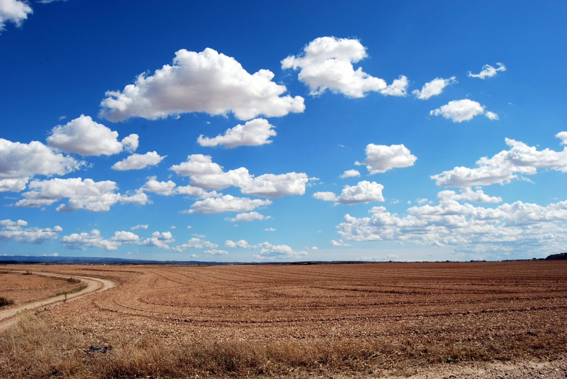 brown-field-and-blue-sky